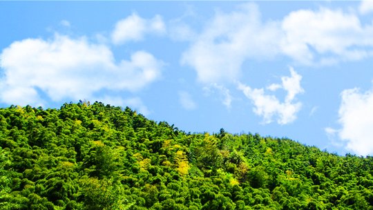 山沟沟风景名胜区