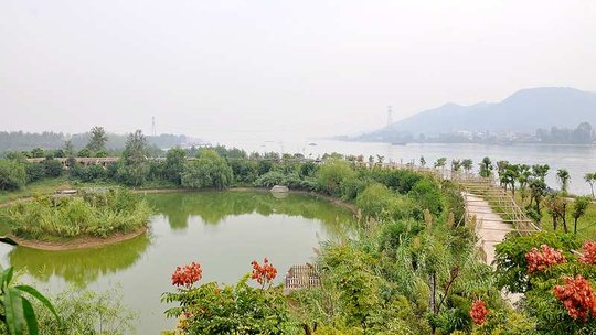 富春江咕噜咕噜岛湿地公园