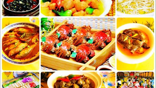 溱湖国家湿地公园