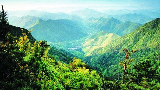 天目山