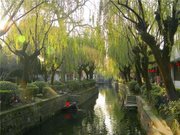 #消夏计划#盐官古城，潮领天下；给我一天时间，还你一场千年之恋~~~10