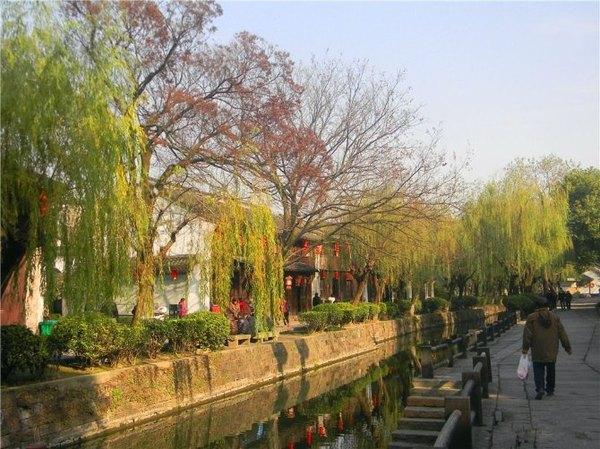 #消夏计划#盐官古城，潮领天下；给我一天时间，还你一场千年之恋~~~11