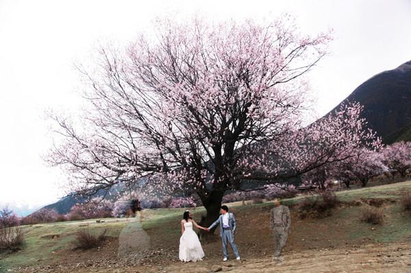 “带着婚纱去旅行”(林芝篇)13