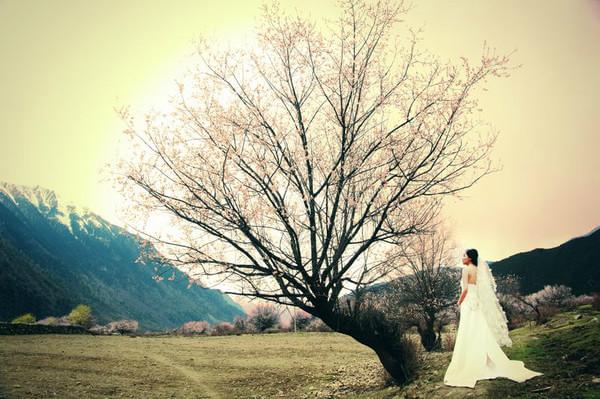 “带着婚纱去旅行”(林芝篇)10