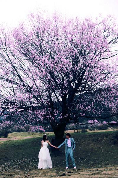 “带着婚纱去旅行”(林芝篇)7
