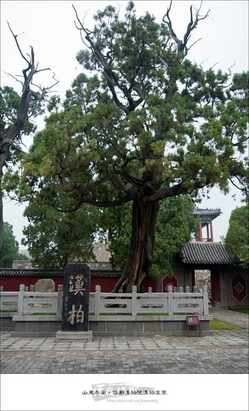 沂澄虞济游记（六）岱宗24