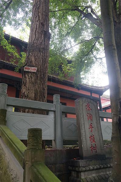 眉山,东坡之城