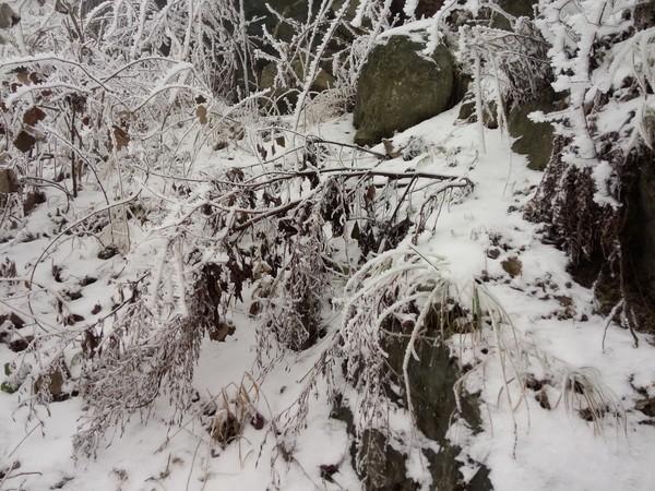 2015年2月2日彭州回龙沟看雪27