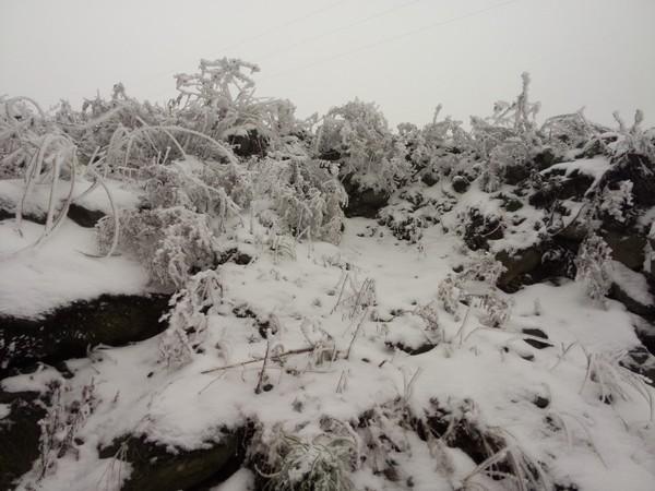 2015年2月2日彭州回龙沟看雪21