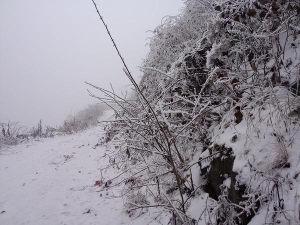 2015年2月2日彭州回龙沟看雪24