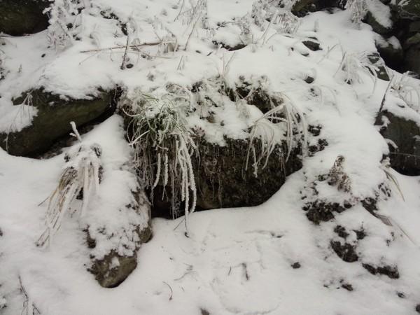 2015年2月2日彭州回龙沟看雪16