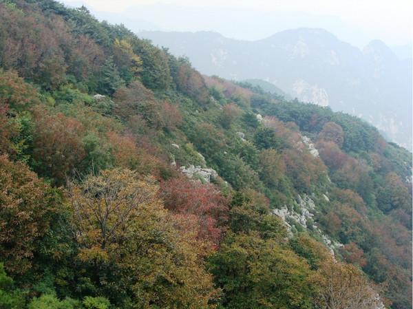 秋游泰山14