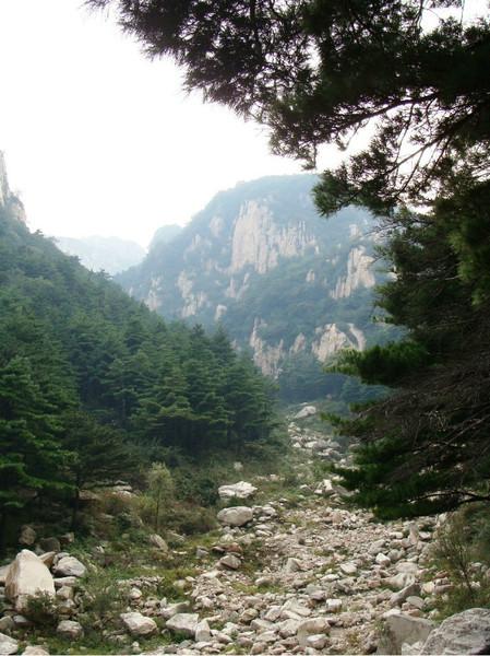 秋游泰山24
