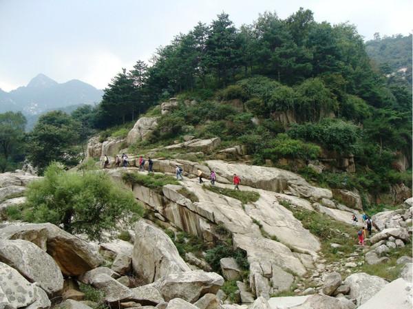 秋游泰山9