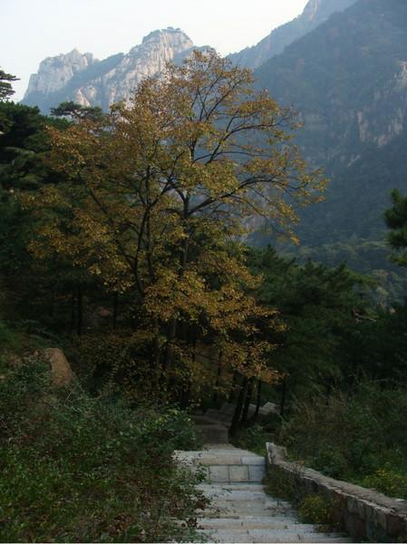 秋游泰山18