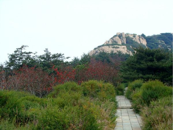 秋游泰山13