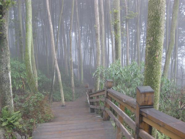 来到成都 爱上都江堰47