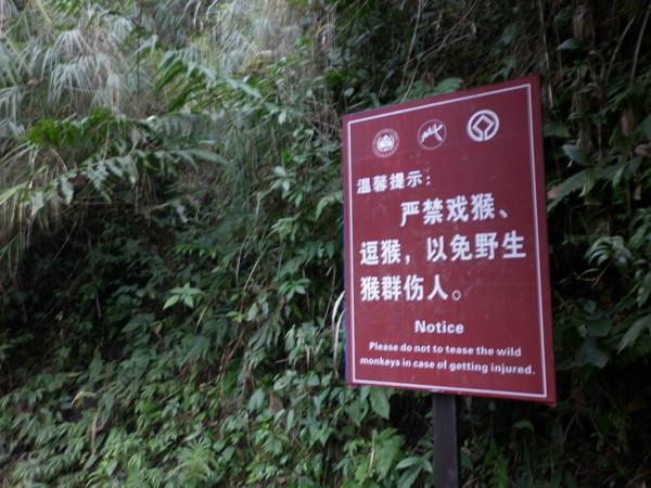懒人游峨嵋，神马计划皆浮云