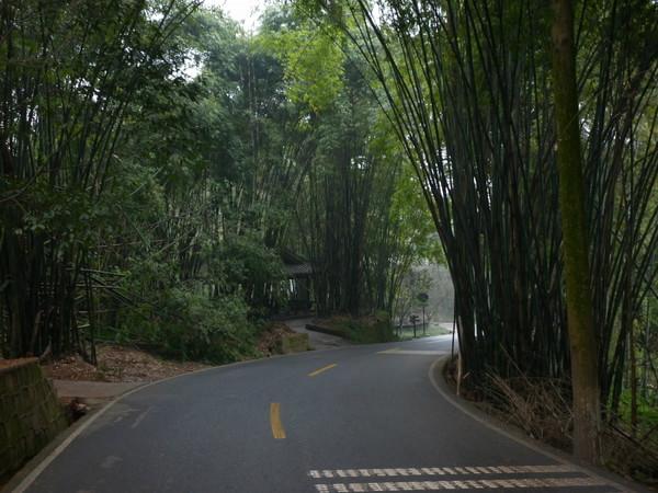 懒人游峨嵋，神马计划皆浮云
