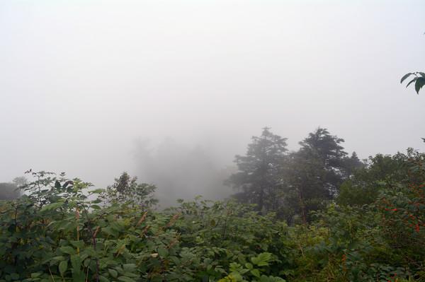 中秋西岭雪山一日游