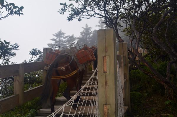 中秋西岭雪山一日游
