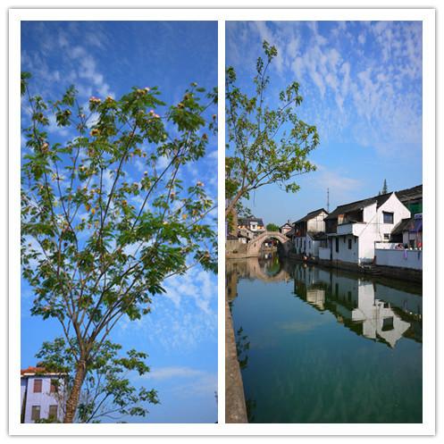 fish的旅行16