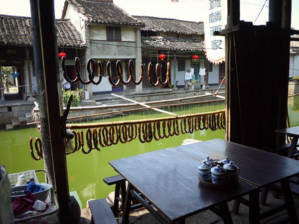 fish的旅行54
