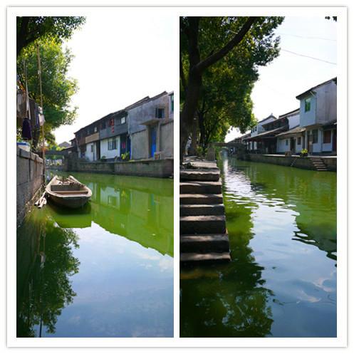 fish的旅行47