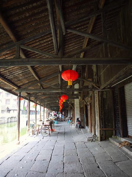 fish的旅行50