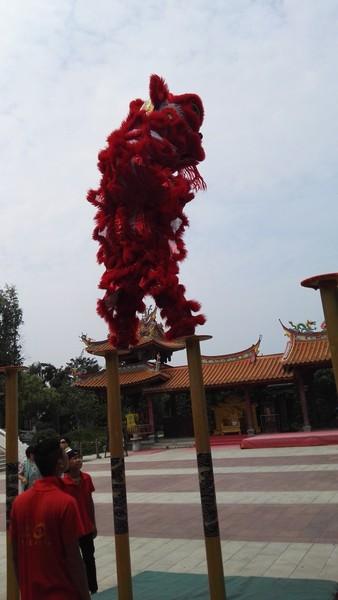 郑州自驾连云港台儿庄六日悠哉游19