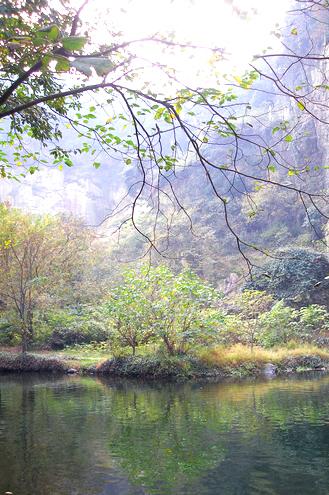 水石盆景—绍兴东湖29