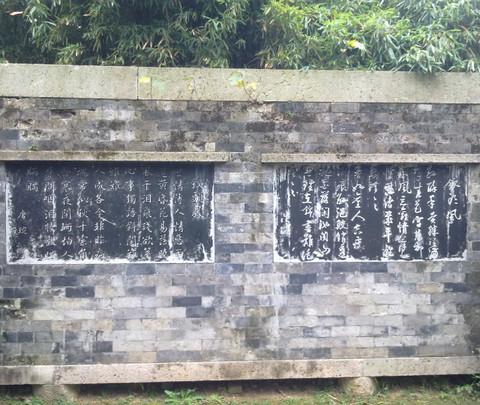 沈园 小游一下10