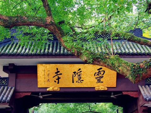 这个10.1在江南 北京-上海-西塘-杭州-北京22