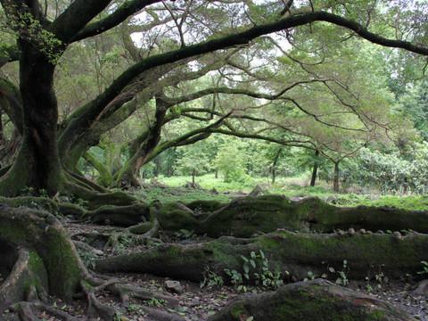 福建霞浦行之点滴4