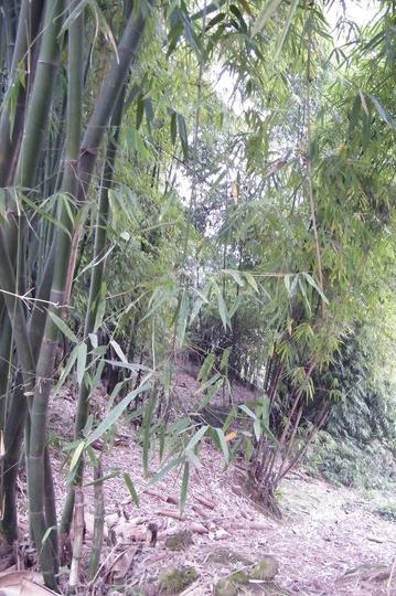 春节自驾十日游16