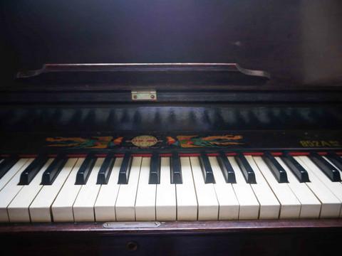 虎纠美景之“探寻老洋房，寻找小清新”53