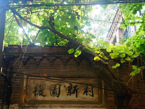 虎纠美景之“探寻老洋房,寻找小清新”28