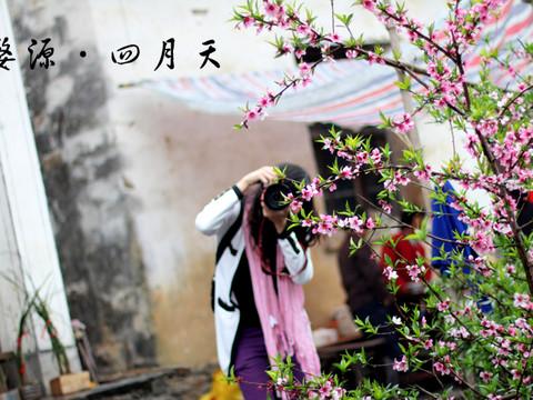 四月的婺源-完全自由行3日44