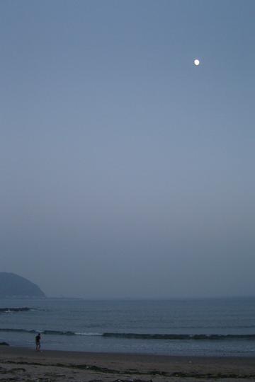 海上明月共潮升17