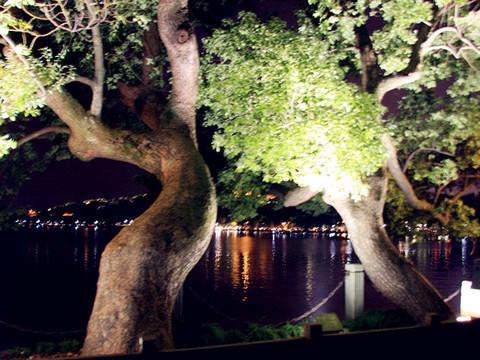 这个10.1在江南 北京-上海-西塘-杭州-北京20