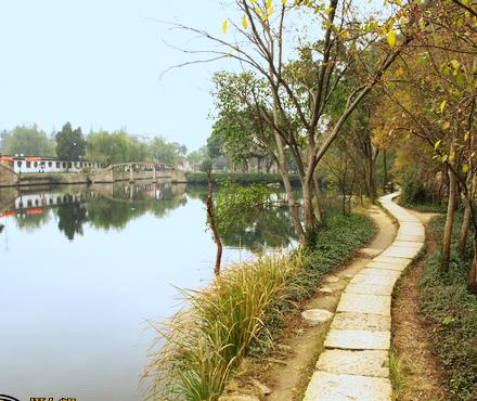 水石盆景—绍兴东湖12