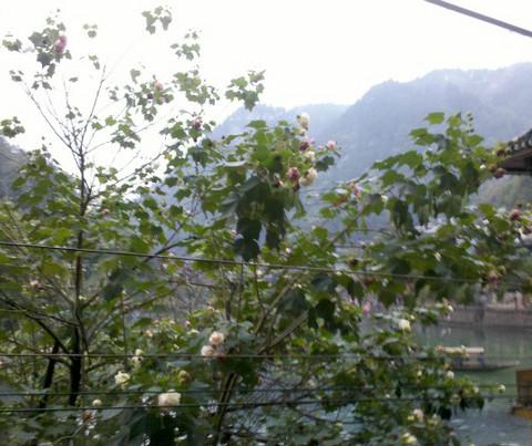 .一次说走就走的旅行，2012年重阳黔东南吃住攻略5