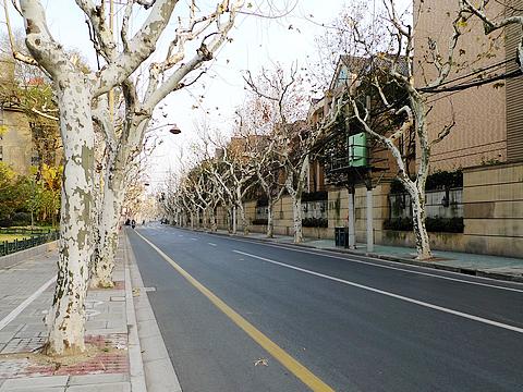幸福的拉面之二 -- 华山路-湖南路9