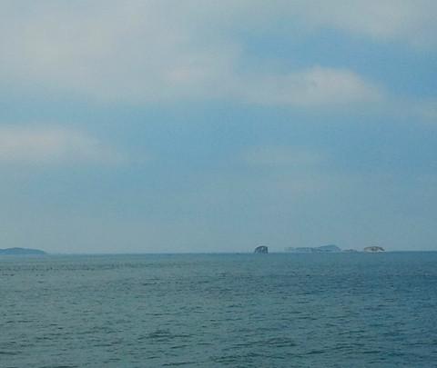 海上明月共潮升3