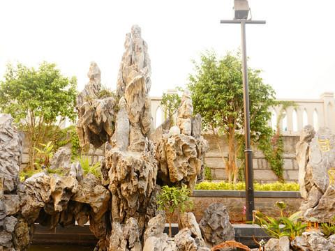 虎纠美景之“探寻老洋房,寻找小清新”80
