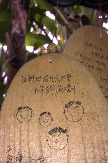 沈园 小游一下18