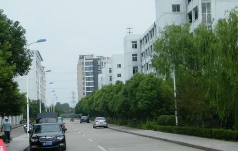 扬州，母校及东关街怀古。6