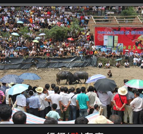 行摄 黔东南85
