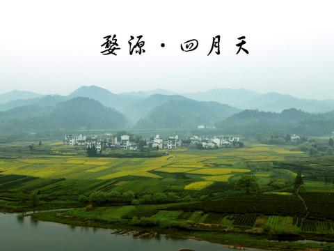 四月的婺源-完全自由行3日34