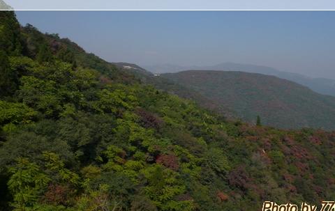 蜻蜓点水山西行 之六 太原龙山石窟与红叶10
